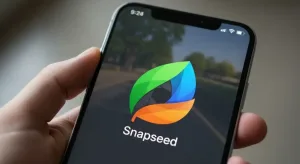 What Is Snapseed?